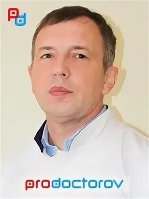 Окулист сосновая
