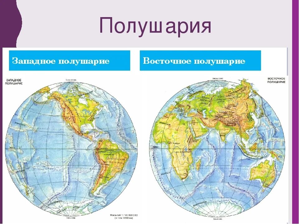 Что такое полушарие