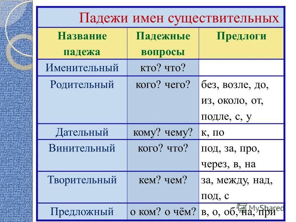 Выдели в предложении все имена существительные