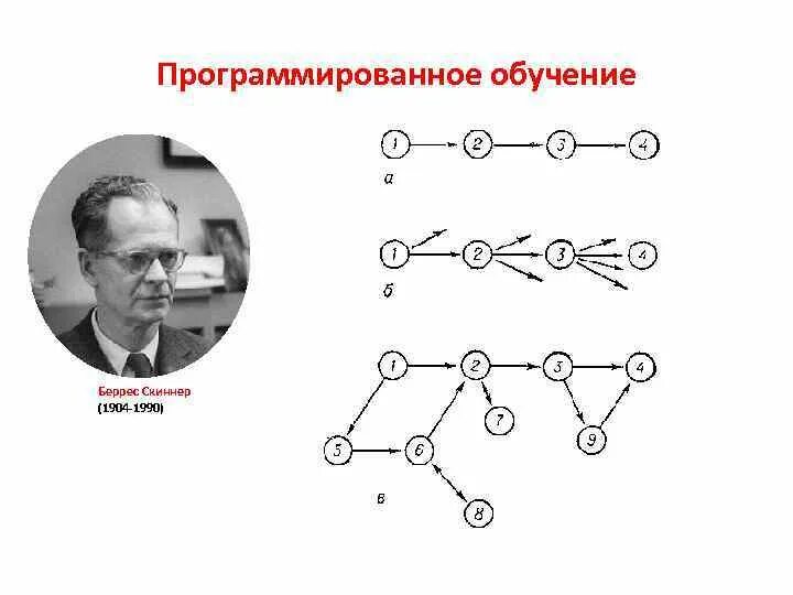 Структура программированного обучения. Структура программированного обучения