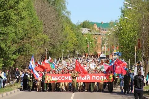 Шаховская программа