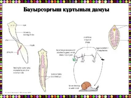 Ретро порно фильмдер таңдауы