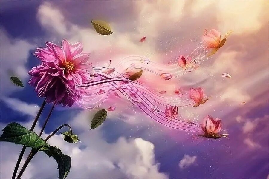 Какой прекрасный день чтобы подарить цветов песня. Душевные цветы. Красивые картинки для души. Цветы для души. Цветущая душа.