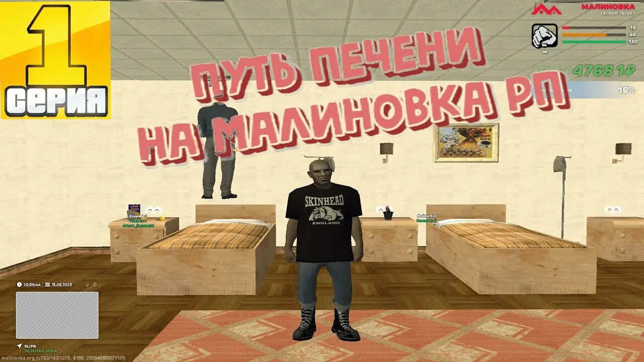 Малиновка рп магазин. Что такое дм в малиновке рп. малиновка игра. мувик малиновка рп. обои малиновка рп.