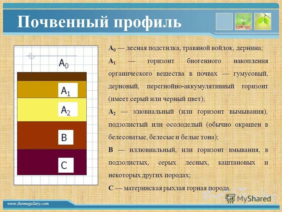 Почвенный горизонт b2. Какой почвенный горизонт обозначается символом а2. Строение почвы почвенные горизонты. Почвенный горизонт гумусовый иллювиальный. Структура почвы почвенные горизонты.
