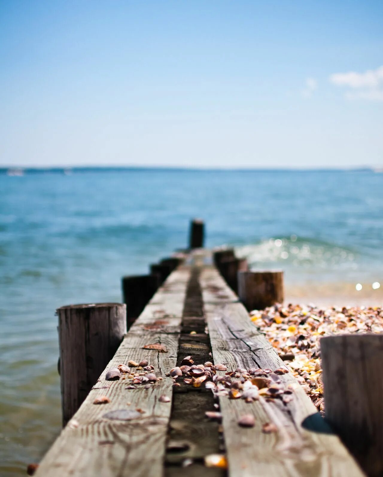 Life is beach. Жизнь на пляже. Coast красивое слово.