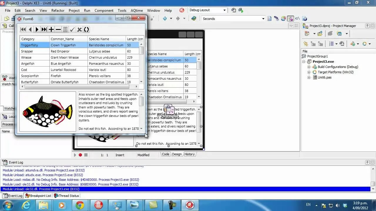 Fmx delphi. Delphi programming. firemonkey ide. метод дельфи картинки. delphi fmx stinggrid 2025.