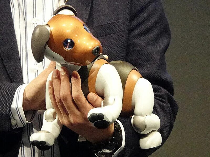 Ai pet. Aibo ers-1000. Sony Aibo. Собачка Aibo корпорации Sony.. Aibo ers-1100.