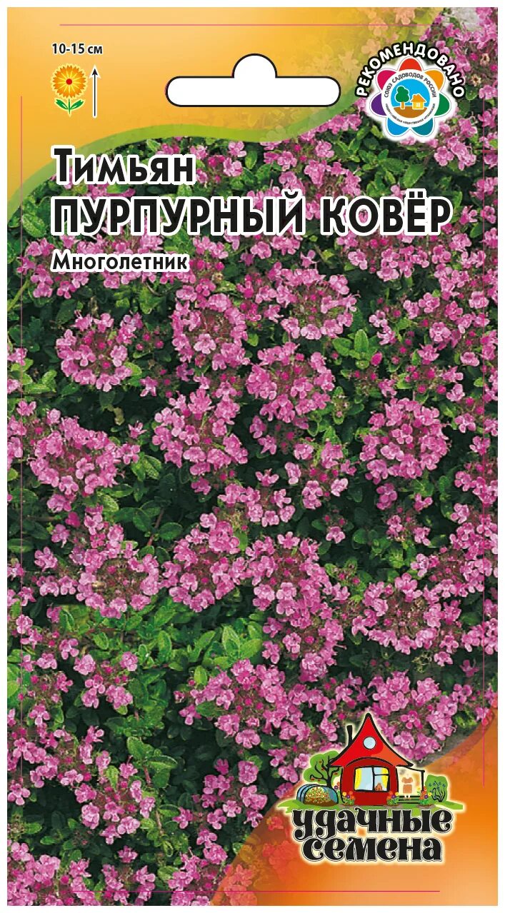 Семена тимьяна купить. Цветы тимьян пурпурный ковер "Гавриш" удачные семена. Тимьян пурпур пурпурный ковер. Тимьян пурпурный ковёр (Гавриш). Тимьян пурпурный ковер 0,05г.