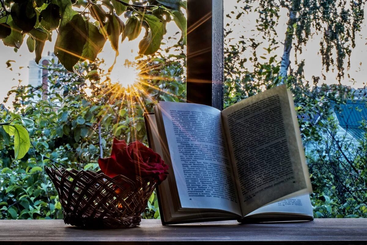 фотография открытой книги. открытая книга культура. красивые книги. раскрытая книга. красивые книжки.