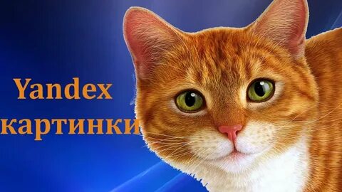 Найти картинку про