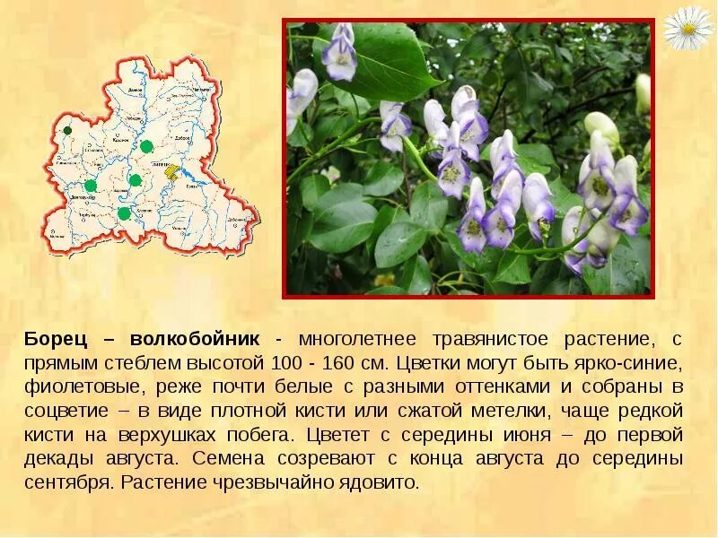 Растительность липецкой области презентация
