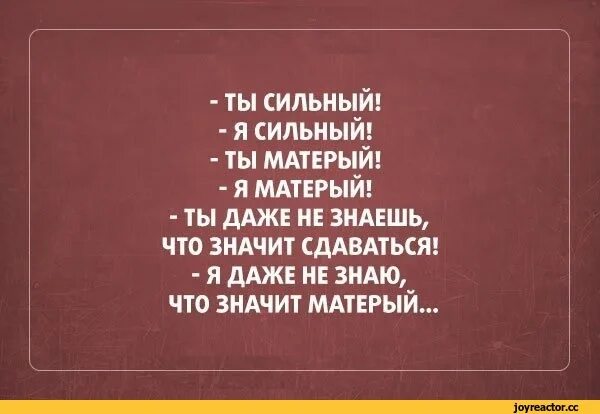 Первый и матерый. Ты сильный ты матерый. ты сильная я сильная. я сильный я матерый. ты сильный я сильный ты матерый я.