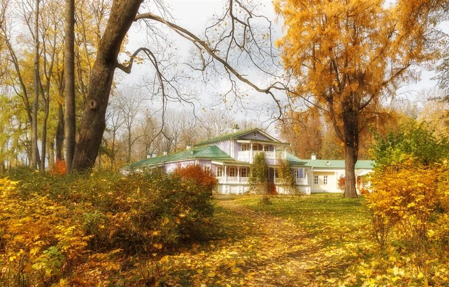Спасское-лутовиново усадьба тургенева пруд. Спасское лутовиново пруд. Тургеневский пруд. Спасское лутовиново беседка. Усадьба тургенева в орловской области.