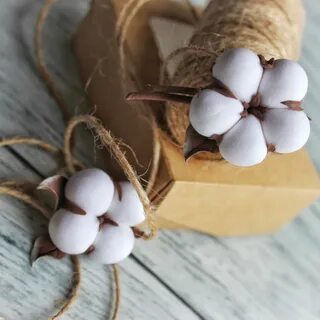 Коробочки хлопка