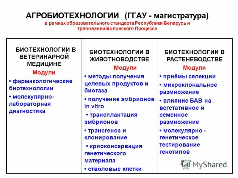 Магистратура биотехнология. АГРОБИОТЕХНОЛОГИИ. Биотехнологии ГГАУ. Биотехнология магистратура. ООО Агробиотехнология.