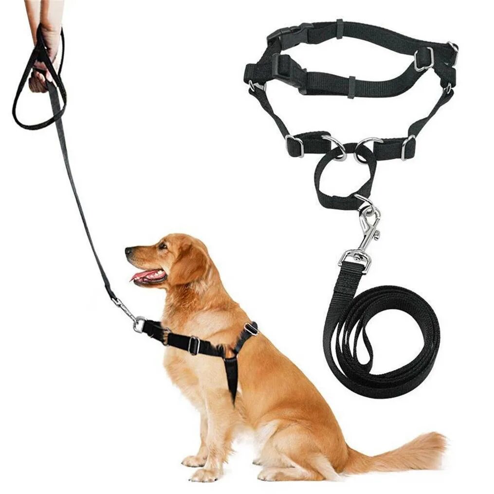 Leash slap
