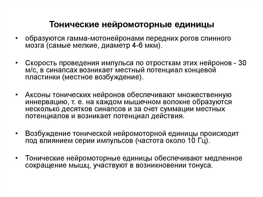 Нейромоторная двигательная единица. Нейромоторная единица. Нейромоторная двигательная единица. Нейромоторная единица и двигательная единица. Нейромоторная двигательная единица.