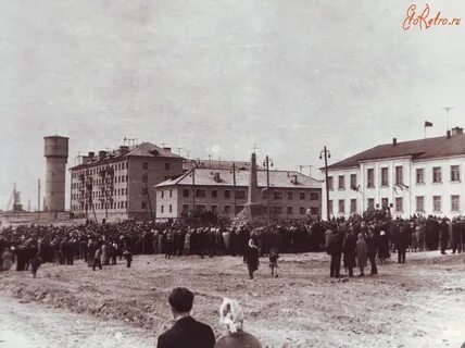 Старые петушки