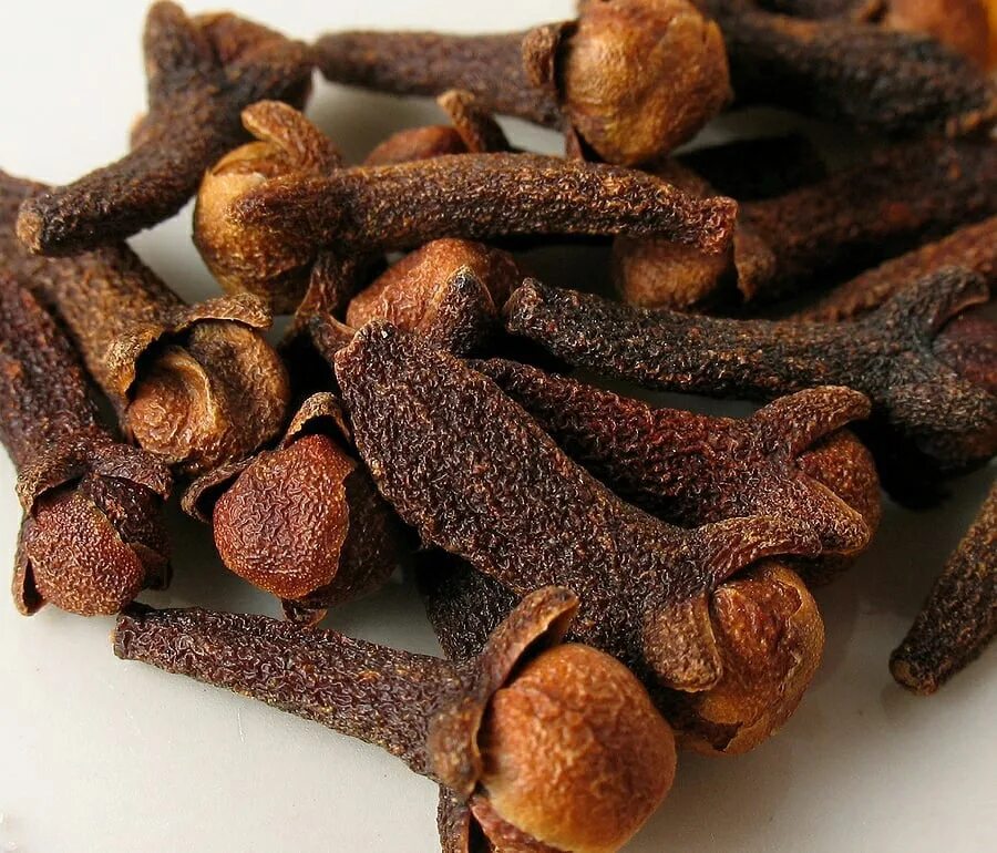 Жирный пряный. Гвоздика Clove. Гвоздика пряность. Гвоздика специя. Гвоздика приправа.