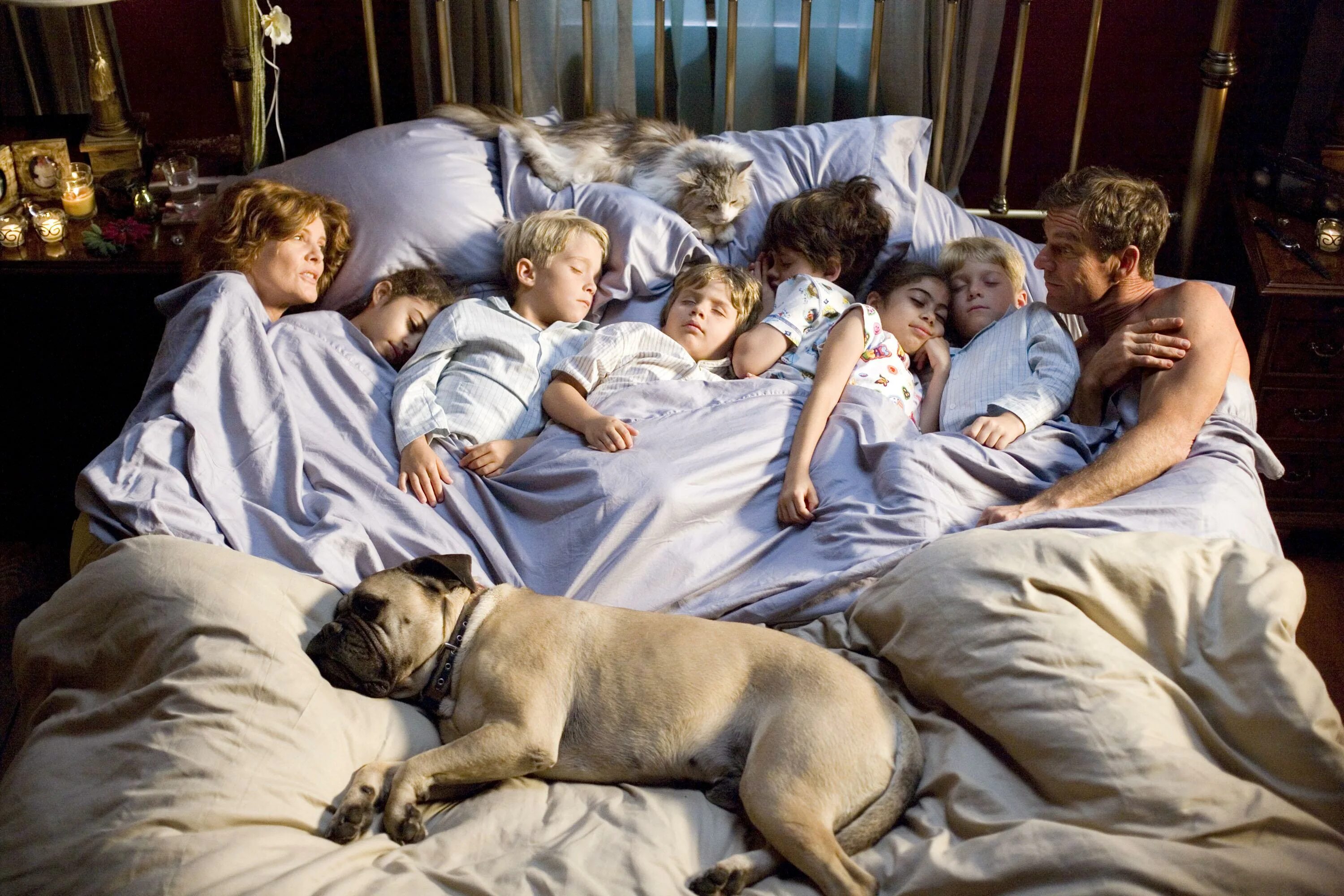 Свет на твоей кровати. Большая семья с собакой. Много людей на одной кровати. Собака с кучей детей.