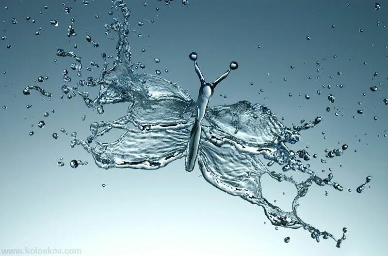 Wagashi splash 2,5. Фаленопсис fangmei sweet. Фаленопсис miki wagashi splash. Fangmei sweet 'splash'. Fangmei sweet орхидея.