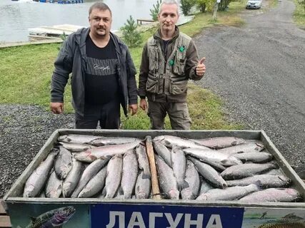 Лагуна рыбалка форум