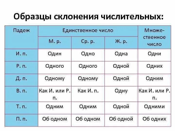 Числительные во множественном числе