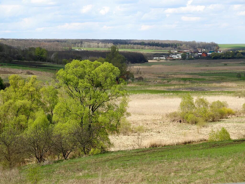 Белгород деревня. Село Мочаровка. Деревеньки деревня Белгородская область. Максима Бабкина село Белгородская область Голофеевка.