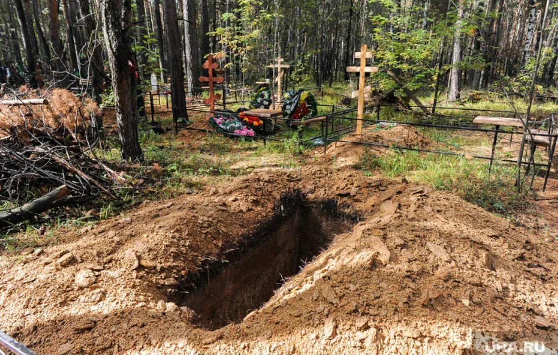 Кладбище в новочеркасске раскопанные могилы. Кладбище разрытая могила. Медведь разрыл могилу на кладбище. Кладбище разрытая могила. Серафимовское кладбище захоронения 2022.