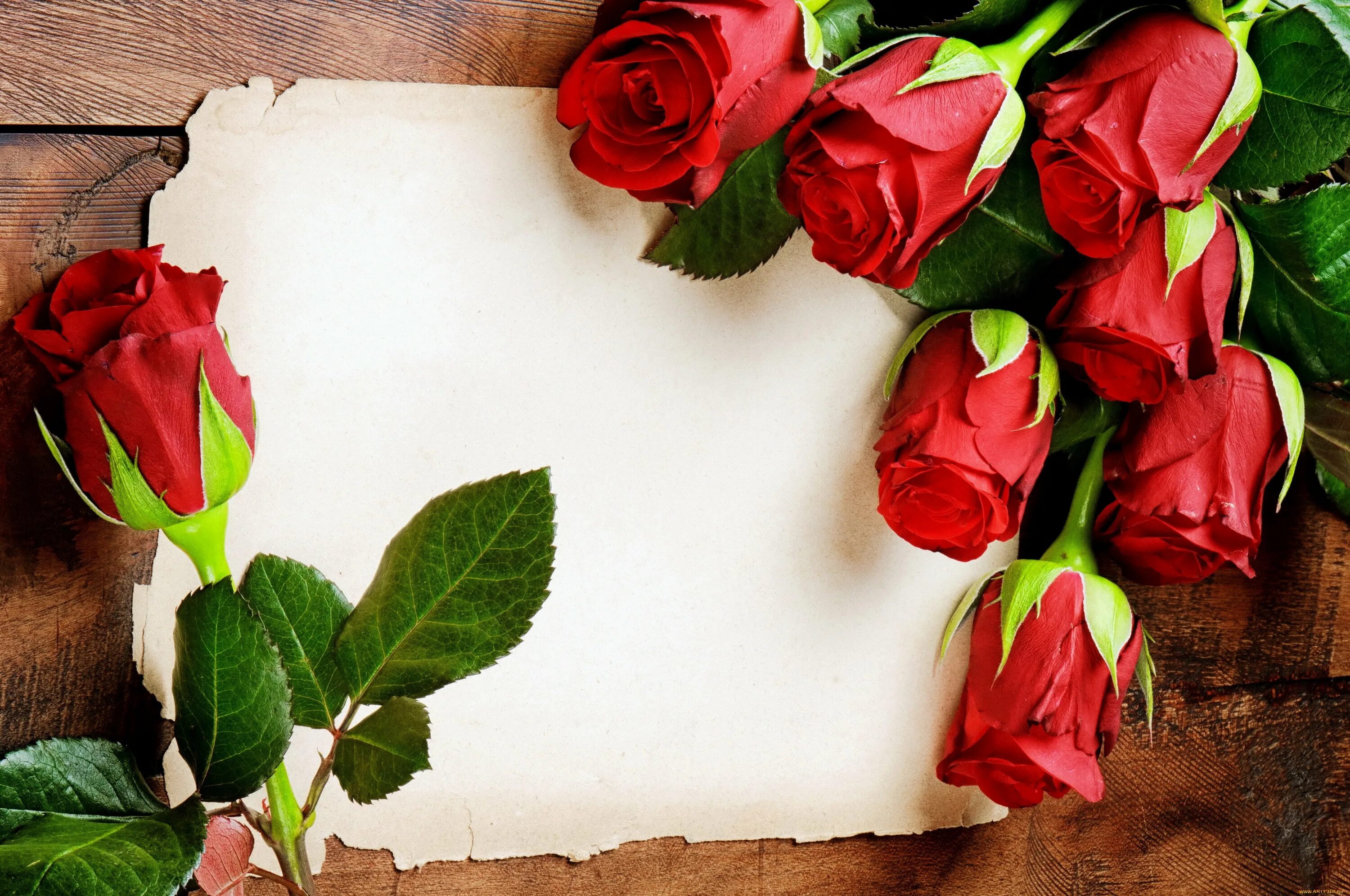 Поздравительная открытка розе. Открытка цветы. Фон для поздравительной открытки. Розы фон. Фон с цветами для открытки.