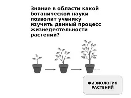 Современному человеку нужны знания о жизнедеятельности растений