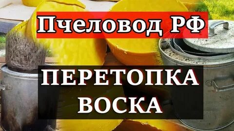 Откуда берется воск