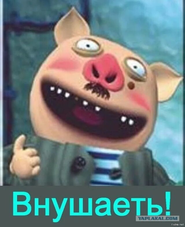 Хрюн. Хрюн моржов. внушаить хрюн моржов. хрюн моржов актер.
