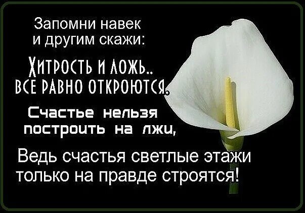 Ложь обо. Высказывания о лжи в отношениях. цитаты про ложь и обман. цитаты про вранье в отношениях. цитаты про правду и ложь в отношениях.