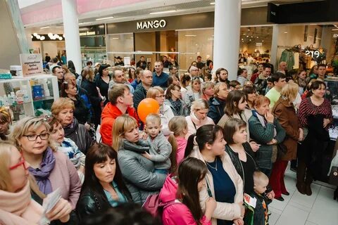 Макси петрозаводск телефон