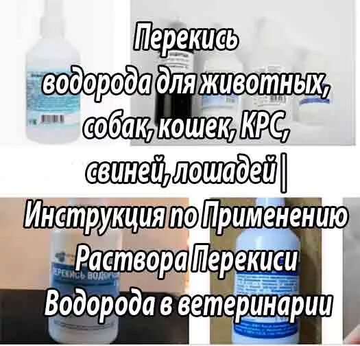 Перекись водорода Ветеринария. Перекись водорода для кошек. Пероксид водорода для ушей.