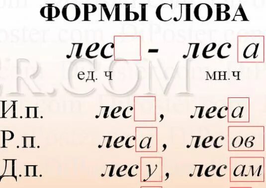 Изменить форму слова пример. Форма слова. Формы одного и того же слова. Формы слова в русском языке примеры. Формы одного слова.