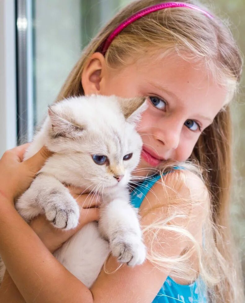 Как кошка воспитывает котят. Воспитание котенка. Котенок девочка как воспитывать. Игривый котенок. Воспитывать кошку.