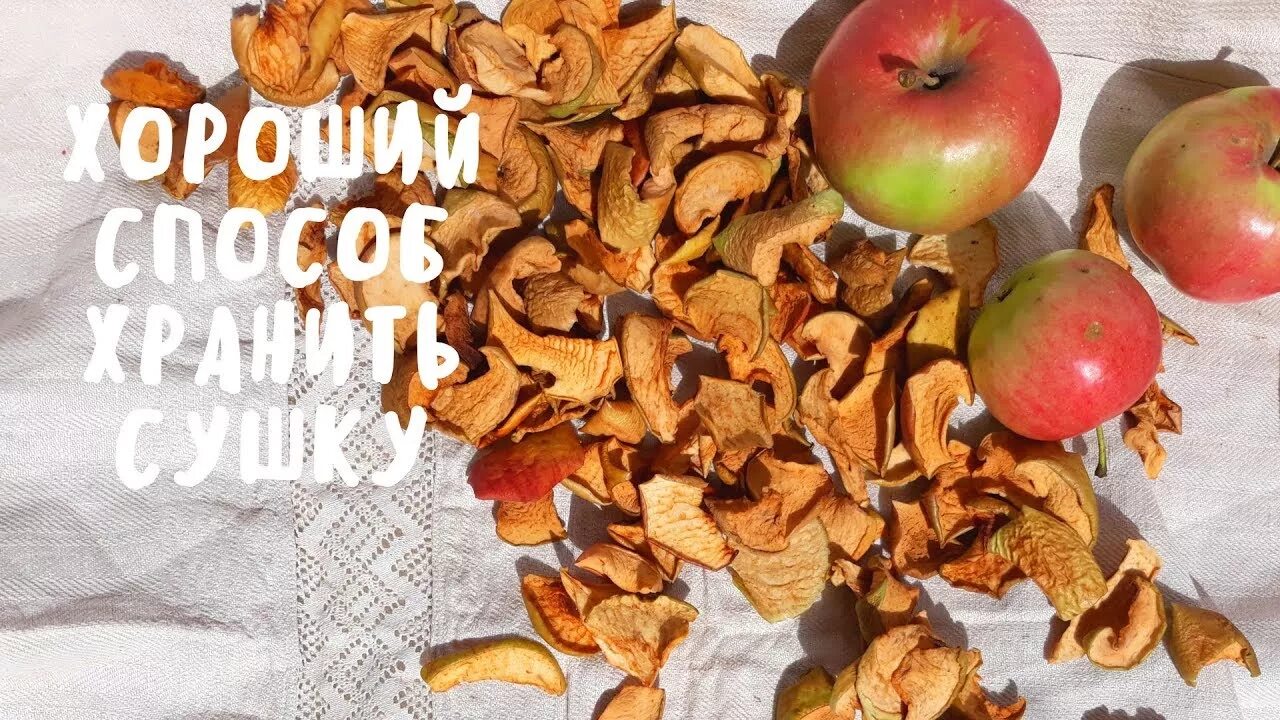 Как сохранить сушку на зиму