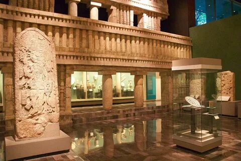 Museum anthropology