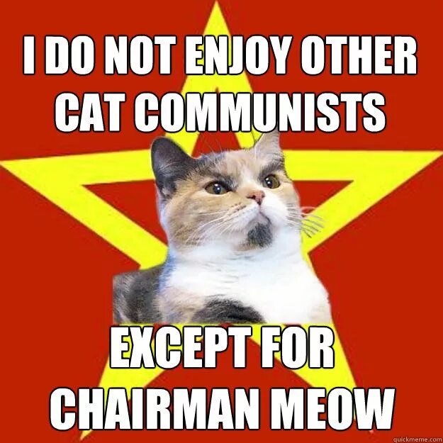 Другой кэт. Chairman Meow. Chairman Mao Cat. Ленин с кошкой. Chairman Meow poster.