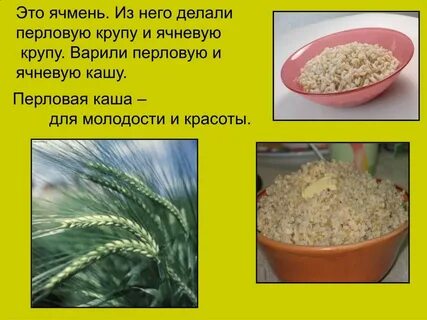 Из чего делают ячневую кашу