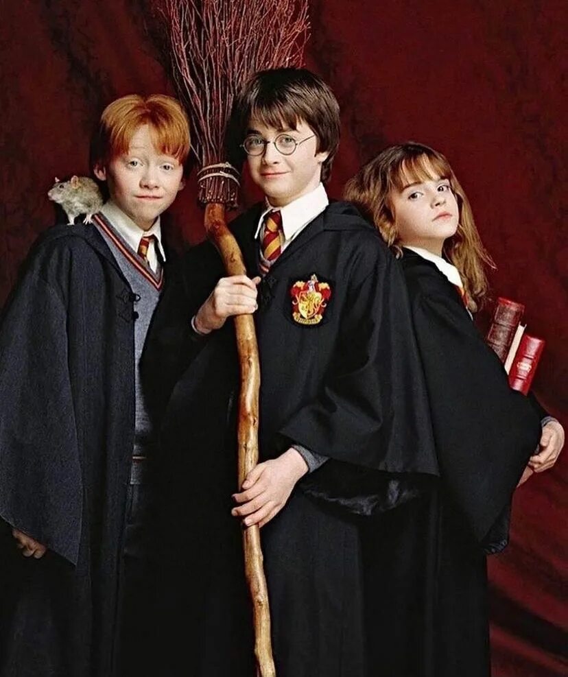 маленький волшебник. добрая школа. школа добрых волшебников. скотт густафсон иллюстрации. медаль школа волшебников.