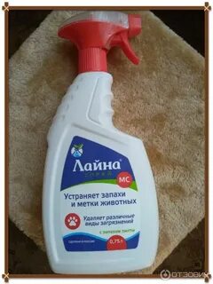 Лайна от запаха кошачьей мочи