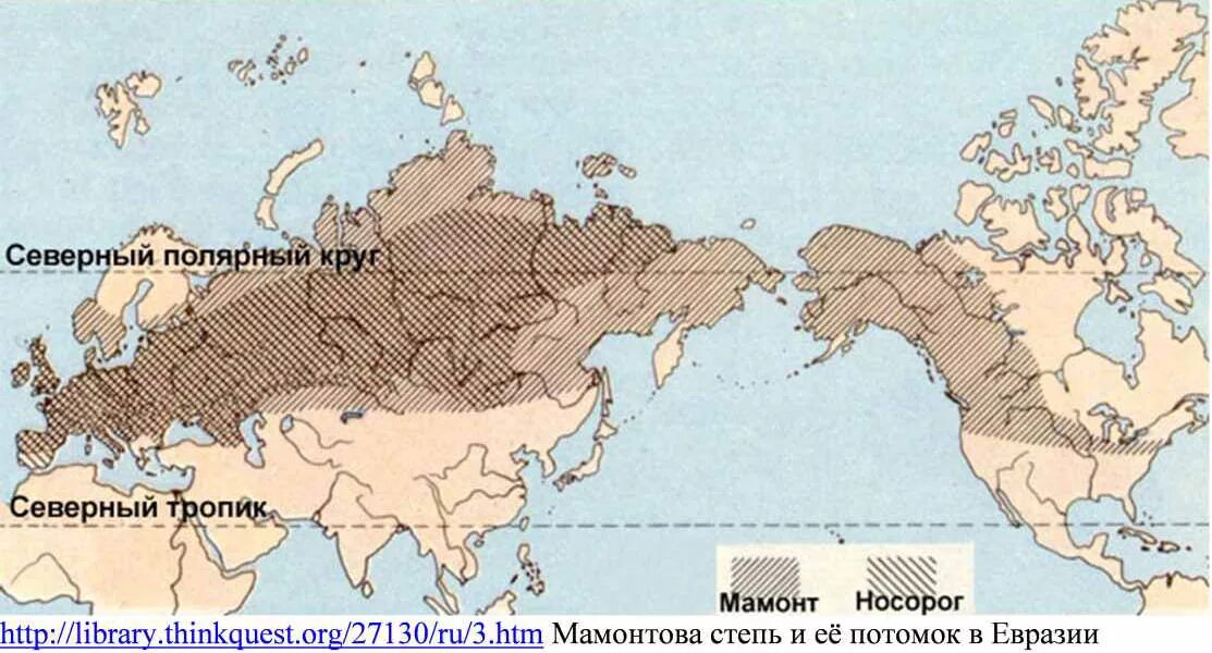 Ареал обитания Мамонтов карта. Ареал обитания Мамонтов в России карта. Ареал расселения Мамонтов. Ареал обитания шерстистого мамонта. Древнейшие северной евразии