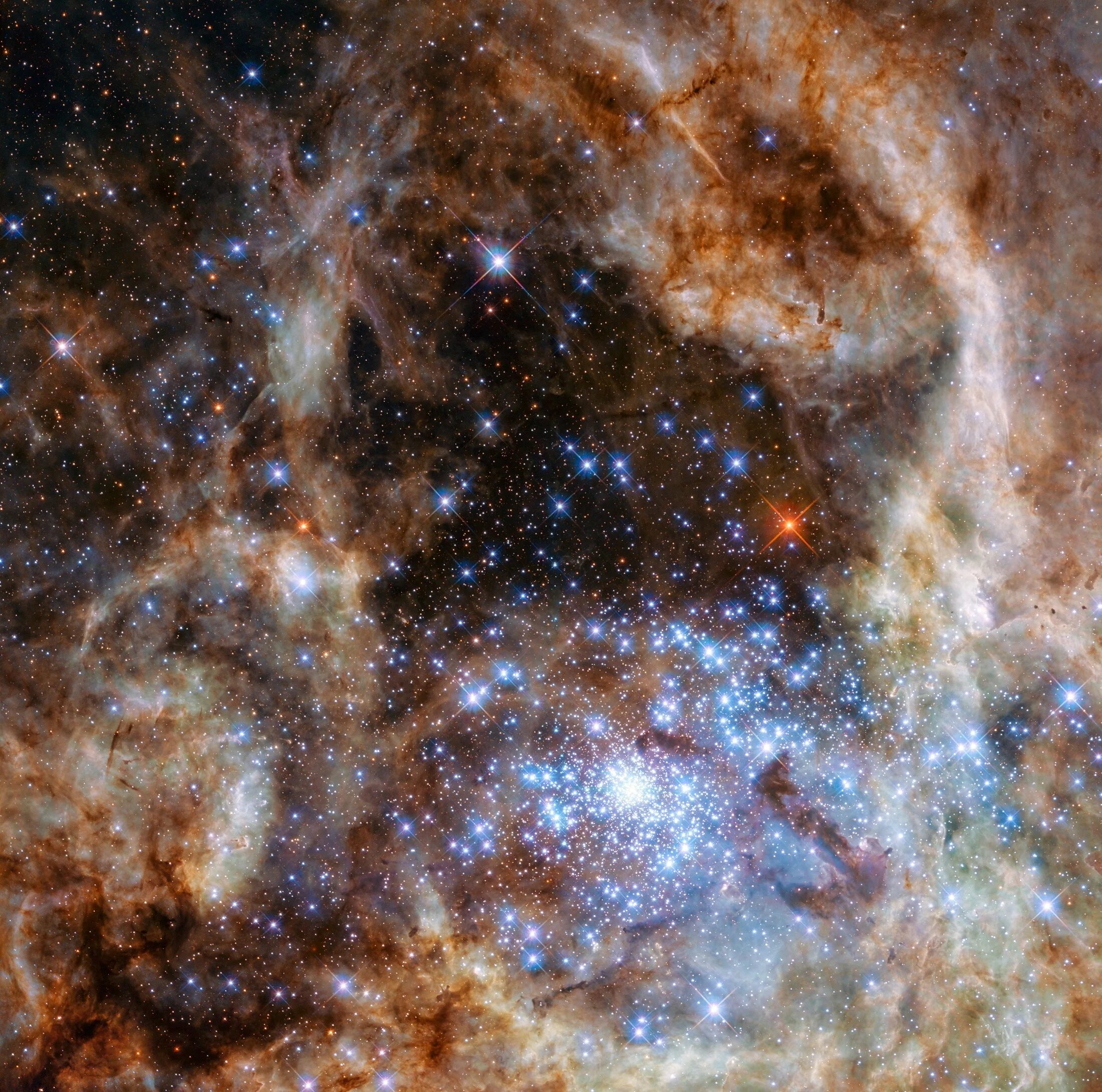 Новая звезда во вселенной рождается. Звездное скопление r136. НАСА телескоп Хаббл. Звездное скопление r136 снимок телескопа Хаббл. Звезда r136a1 из туманности Тарантул.