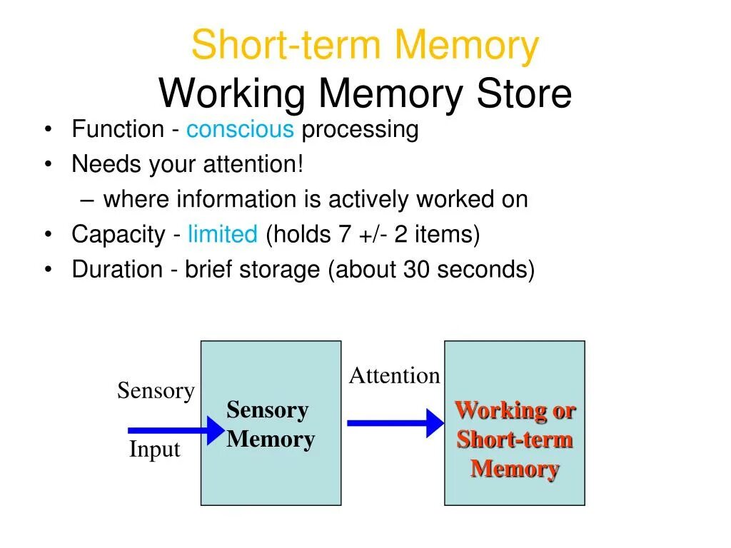 Short memory. Short term Memory. Long-term and short-term Memory. Long short term Memory модели. Short-term Memory mem.