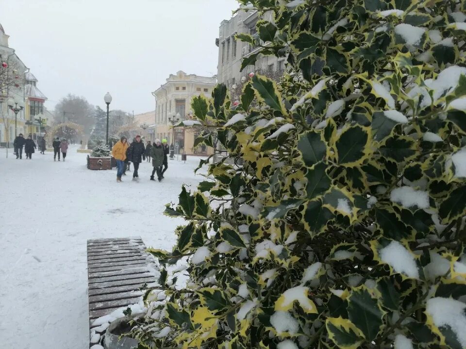 Какая погода в симферополе. Климат Симферополя. Погода в Симферополе. Погода в Симферополе на сегодня. Симферополь в январе погода.