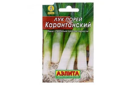 Лук порей карантанский